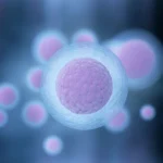 Reproductive Medicine