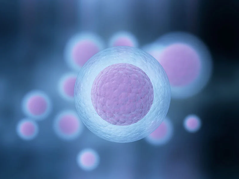 Reproductive Medicine